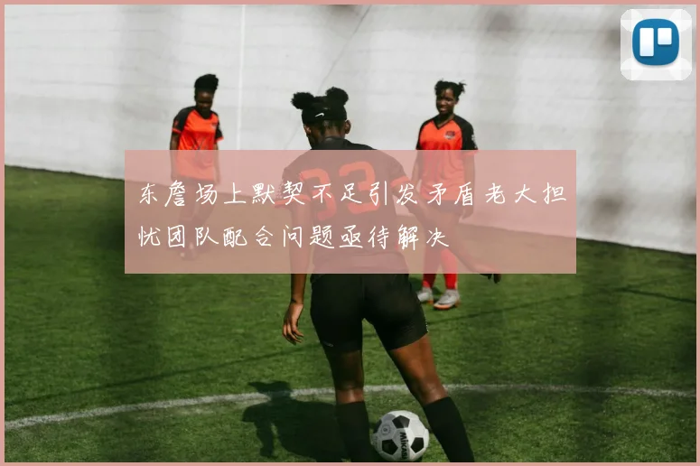 东詹场上默契不足引发矛盾老大担忧团队配合问题亟待解决